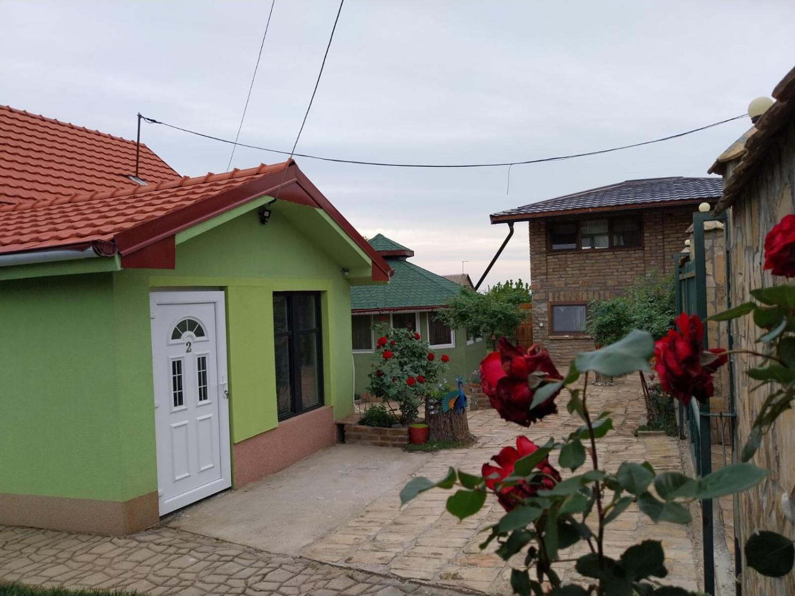 R&h Homestay Slankamen Vinogradi
