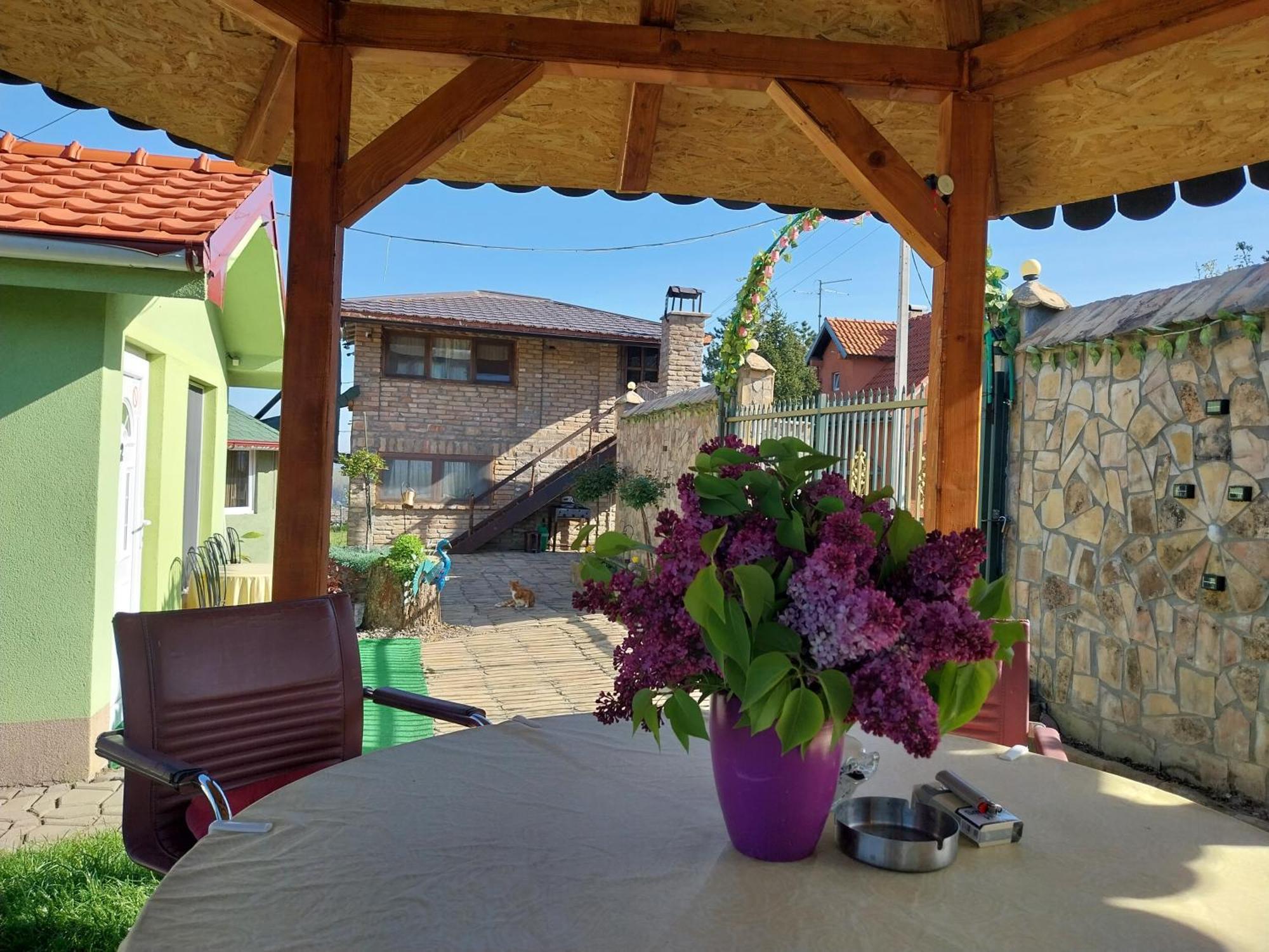 Homestay R&h Slankamen Vinogradi